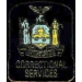 NEW YORK STATE CORRECTIONAL SERVICES LOGO PIN